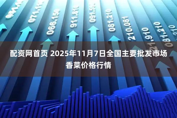 配资网首页 2025年11月7日全国主要批发市场香菜价格行情