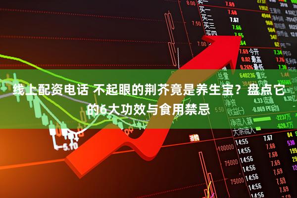 线上配资电话 不起眼的荆芥竟是养生宝？盘点它的6大功效与食用禁忌