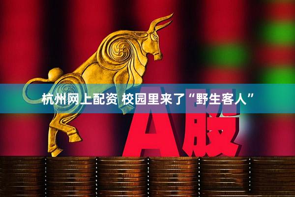 杭州网上配资 校园里来了“野生客人”