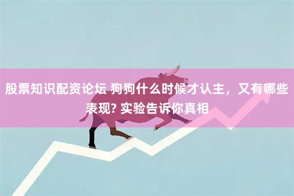 股票知识配资论坛 狗狗什么时候才认主，又有哪些表现? 实验告诉你真相