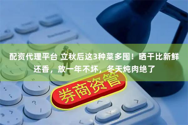 配资代理平台 立秋后这3种菜多囤！晒干比新鲜还香，放一年不坏，冬天炖肉绝了
