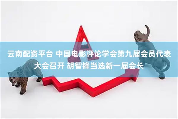 云南配资平台 中国电影评论学会第九届会员代表大会召开 胡智锋当选新一届会长